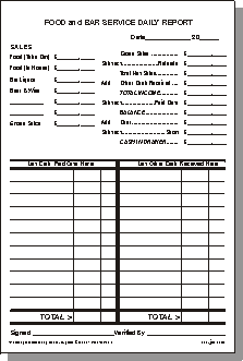 daily cash report format